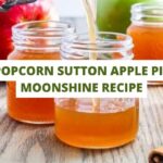 Popcorn Sutton Apple Pie Moonshine Recipe